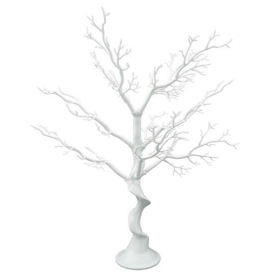 White Manzanita Tree