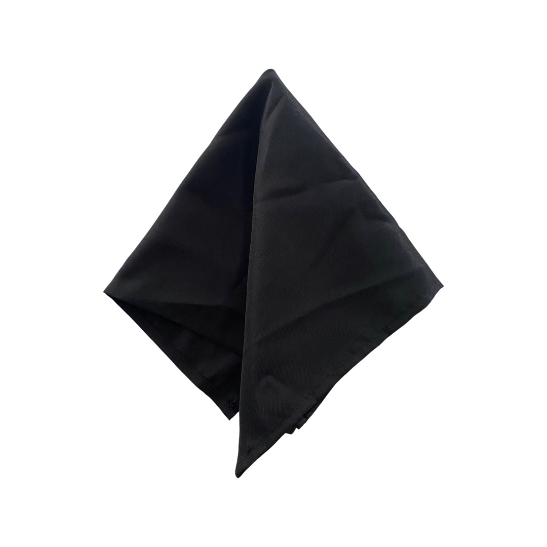Standard Napkin Raven Black The Hourglass House