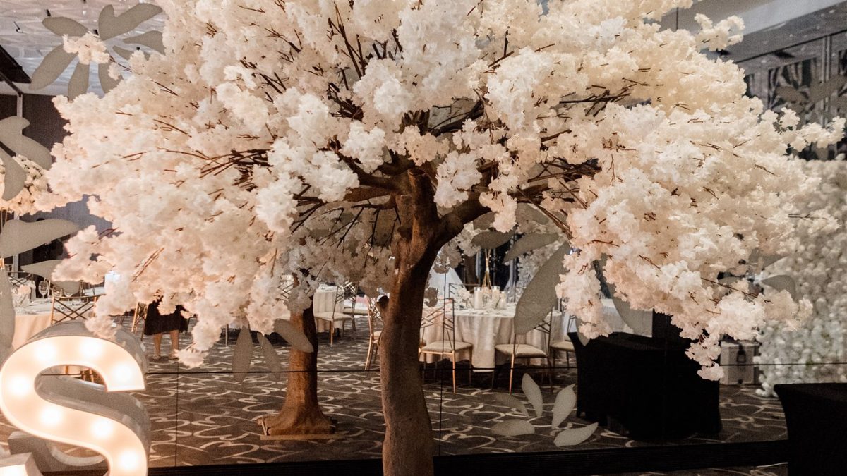 Extra large white cherry blossom tree used for wedding decoration and styling