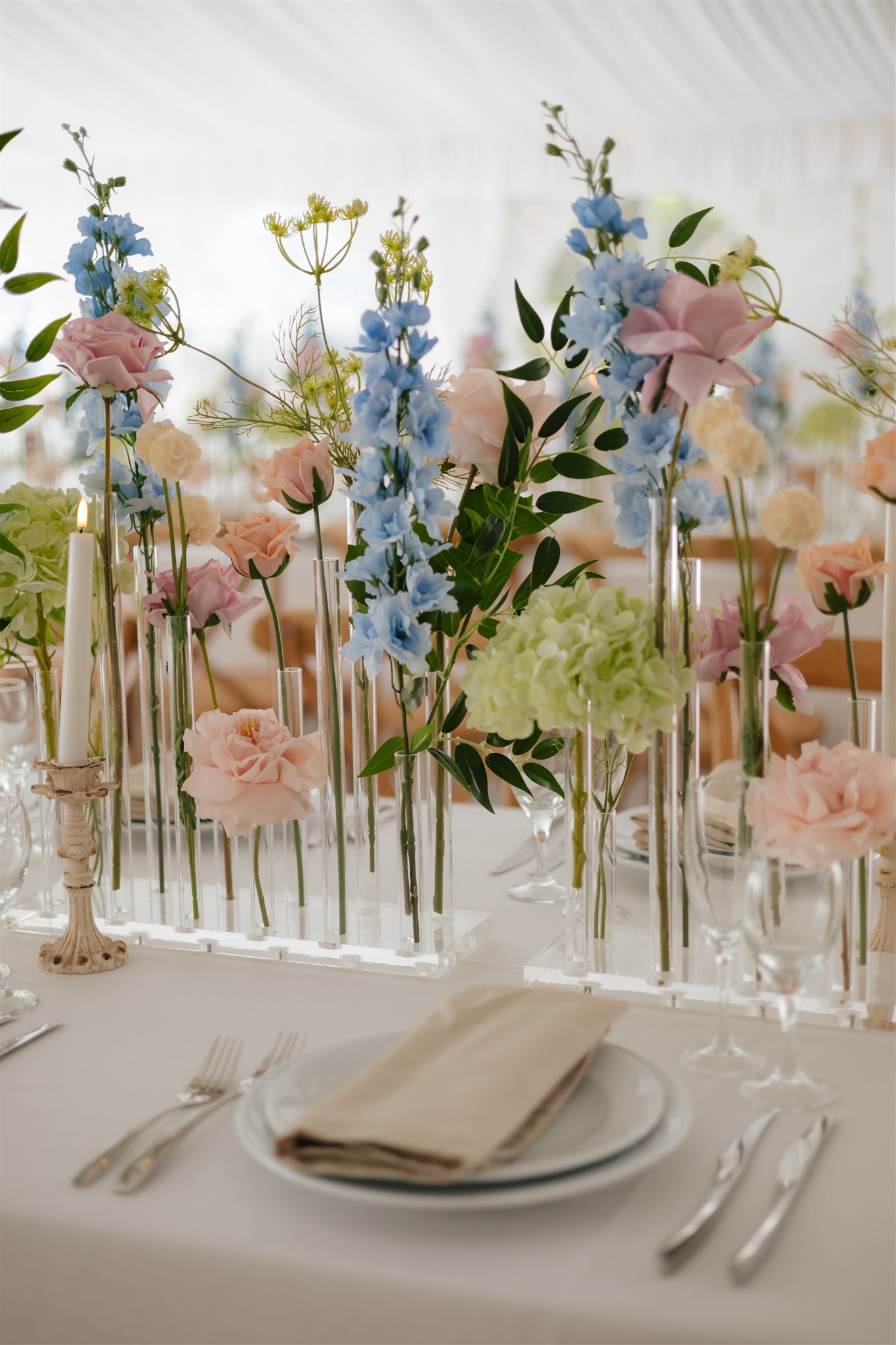 Coolibah Downs Editorial